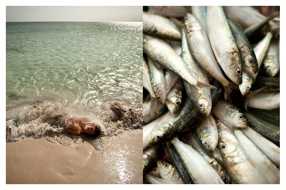 PageImage-514090-3818454-OMAN_MAX_FISH_WEB.jpg
