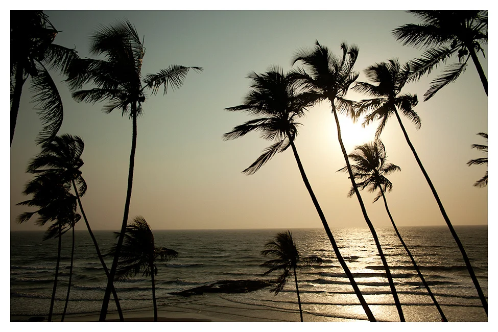 PageImage-514090-3857850-BANYAN_WEB_91.jpg