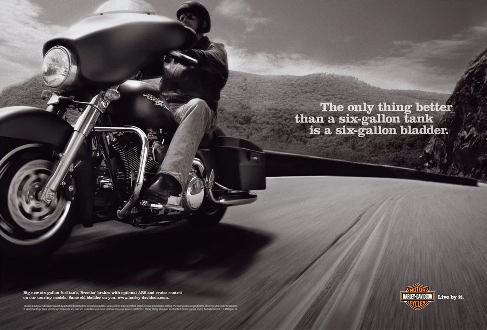 1cc4902b52ca45d6-harley_brand_08_04.jpg
