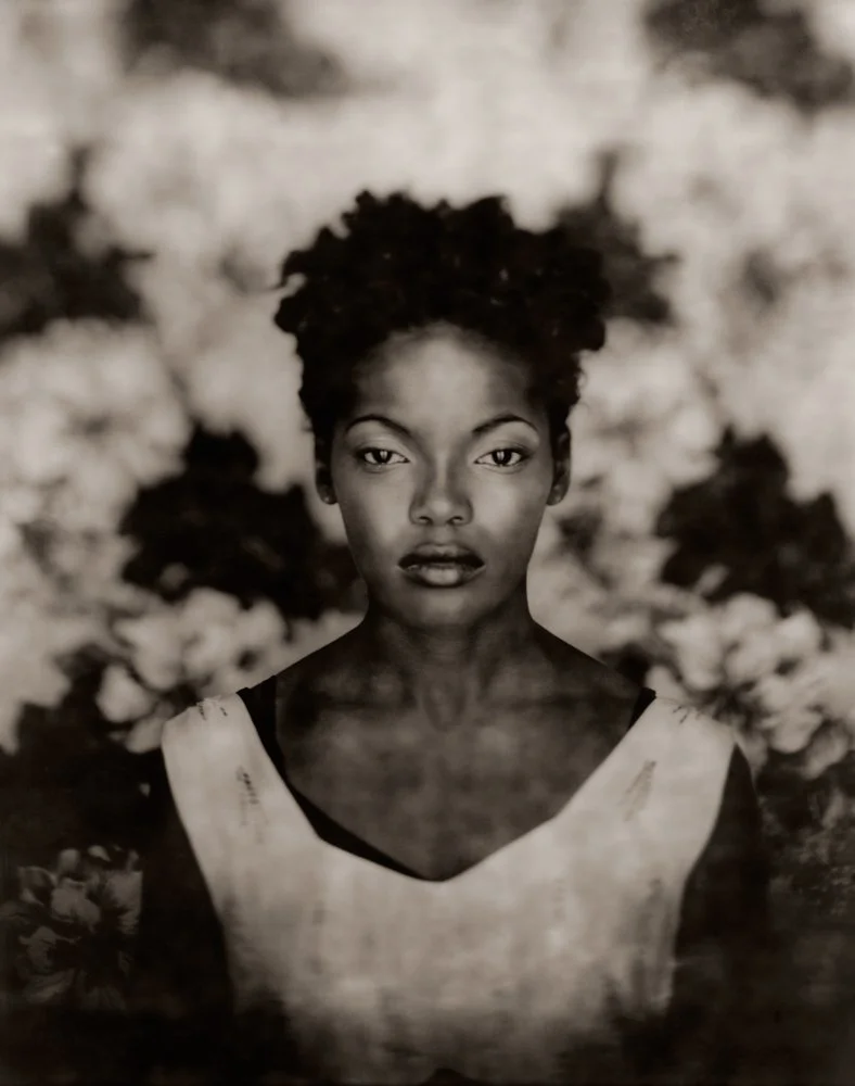 Bill Phelps Polaroids 146.jpg