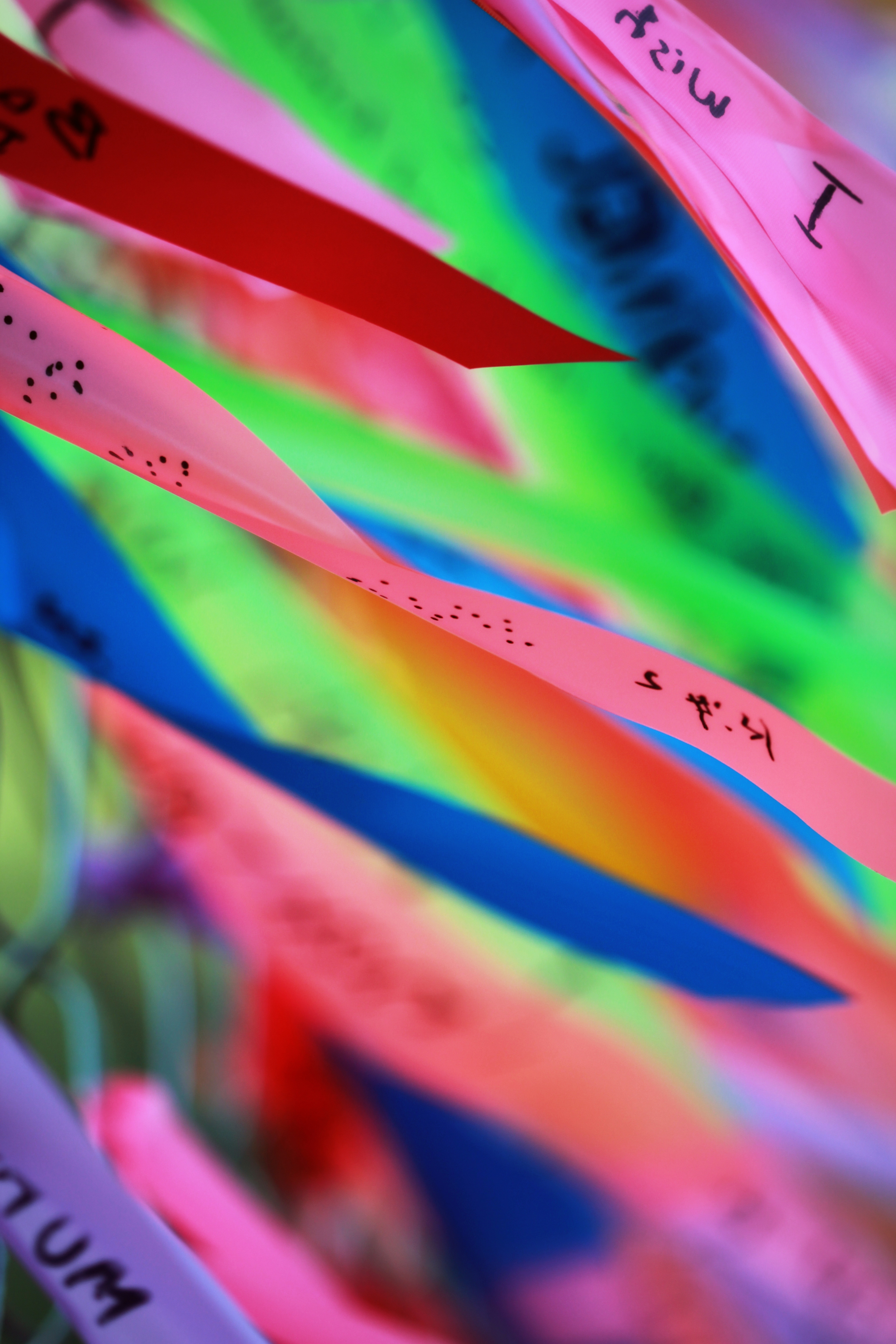 Project Submitted to Figment DC