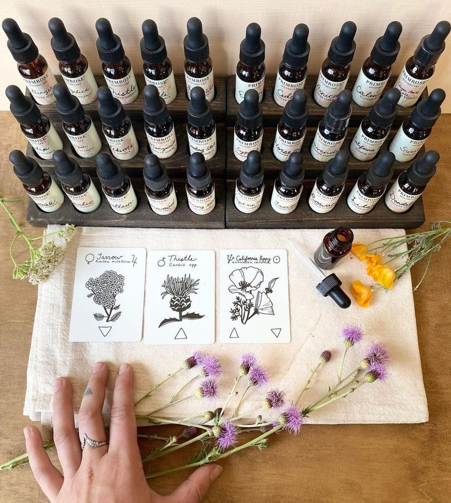 Flower Essences~ by Primrose @primroseorganics_apothecary

flower essences, crafted locally here in Portland, OR. Come visit us for a flower attunement card reading. This gentle, energetic medicine is a great way to develop relations with a new plant