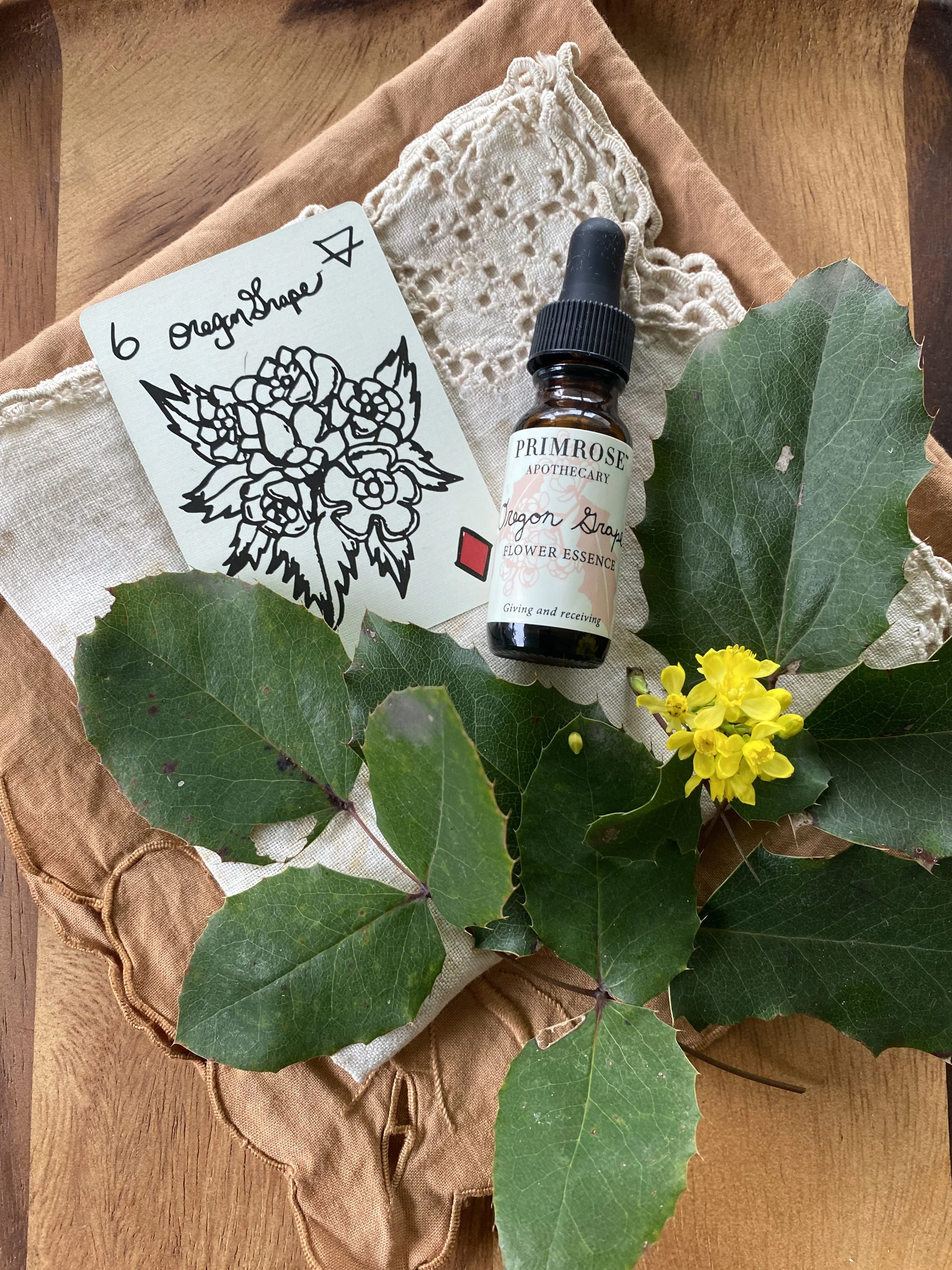 Pink Yarrow Flower Essence Meaning Best Flower Site