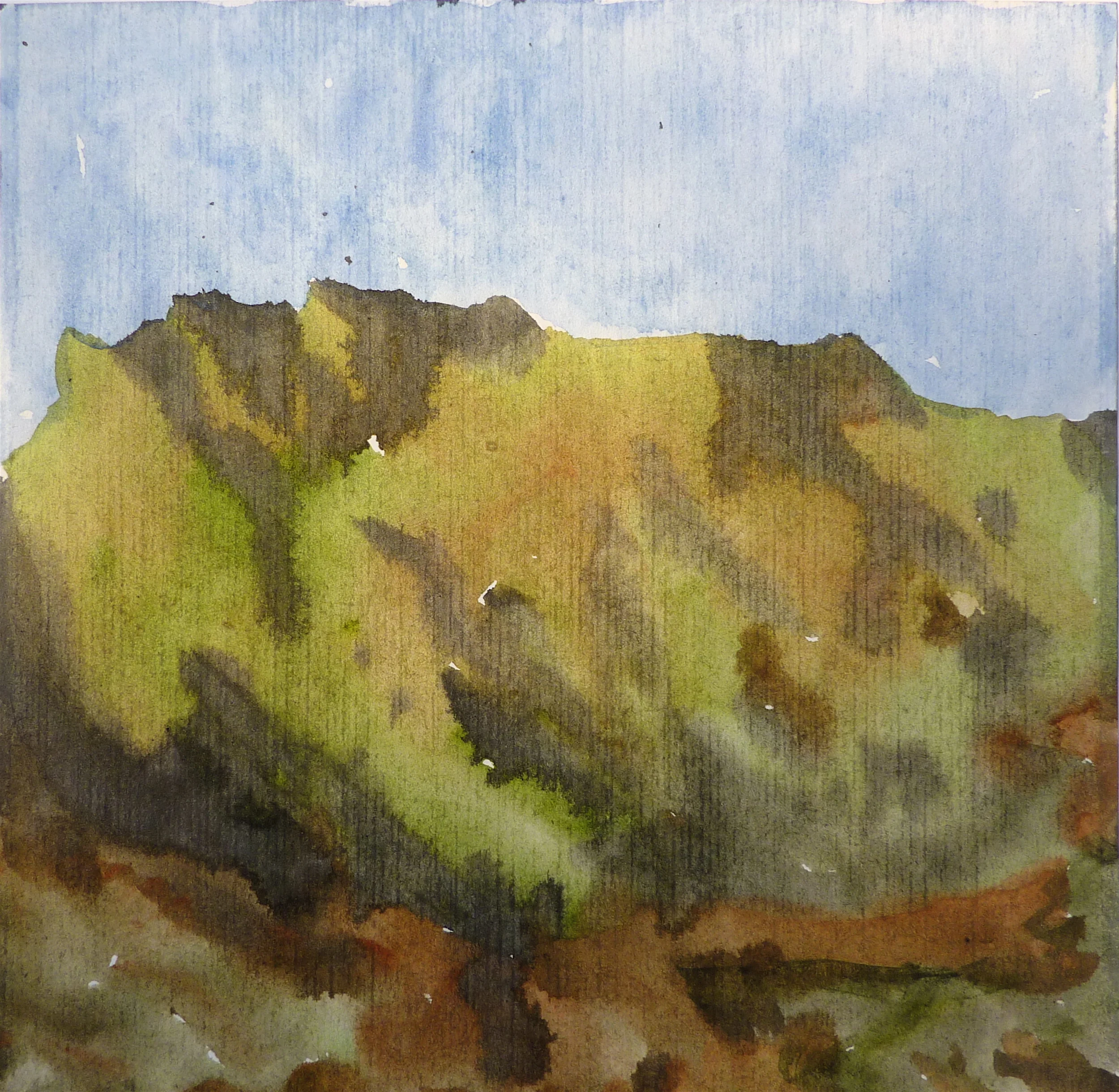    Kauai Ridge   -w.c./sumi ink- 2009 