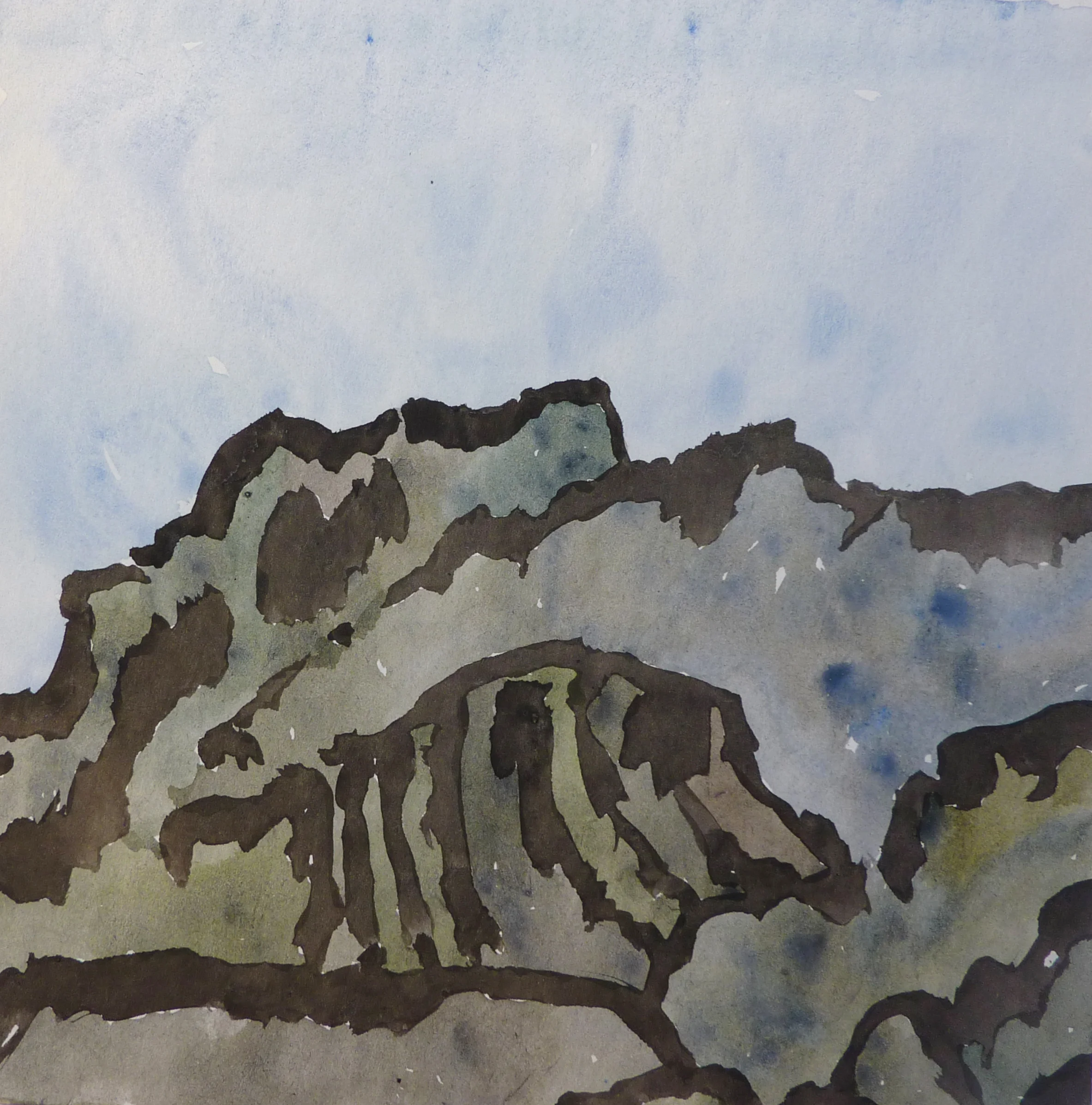    Ridgeback   -w.c./sumi ink- 2009 