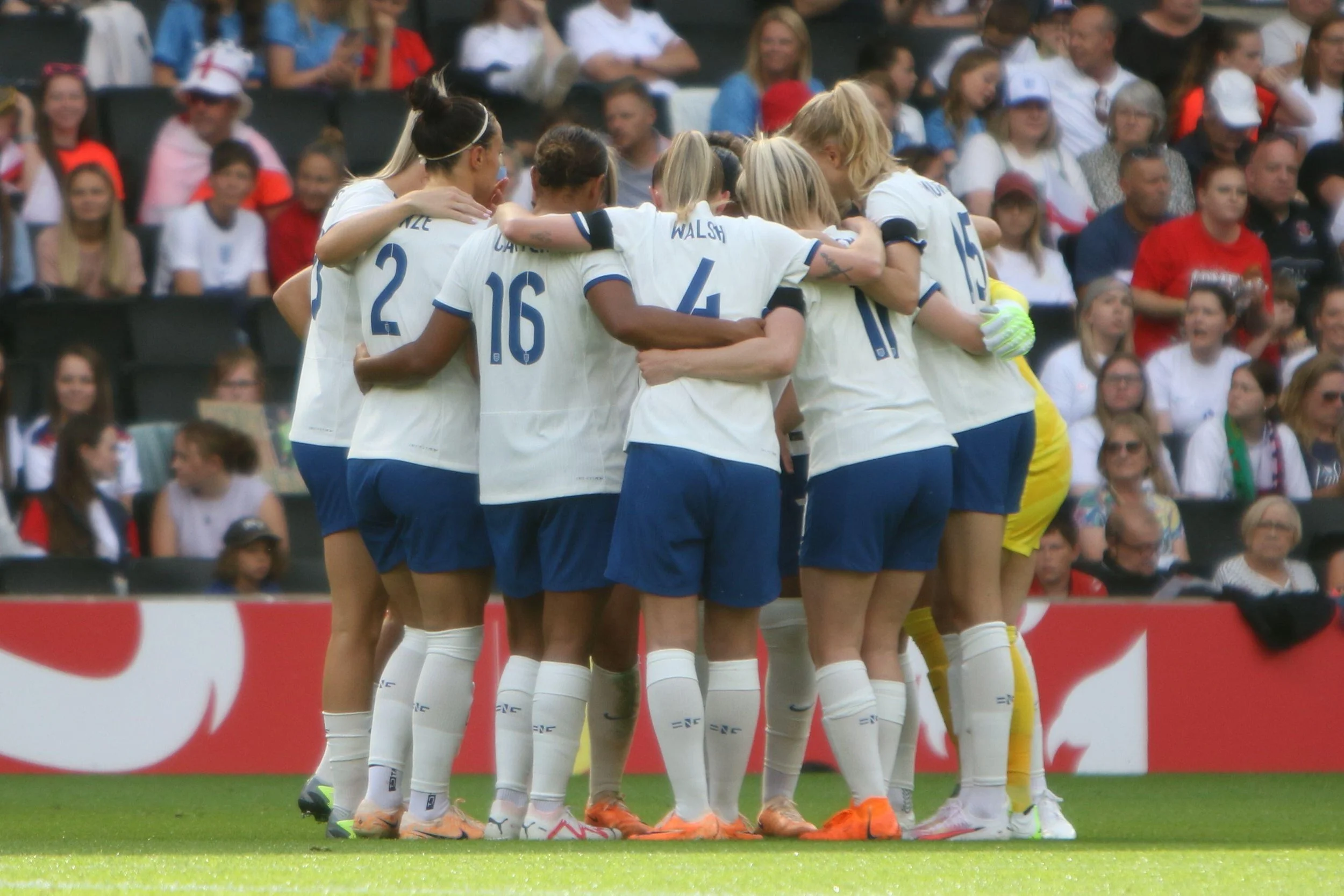 Lionesses.jpg