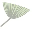 flower2.jpg
