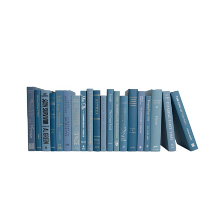 blue-books-bookshelves.png