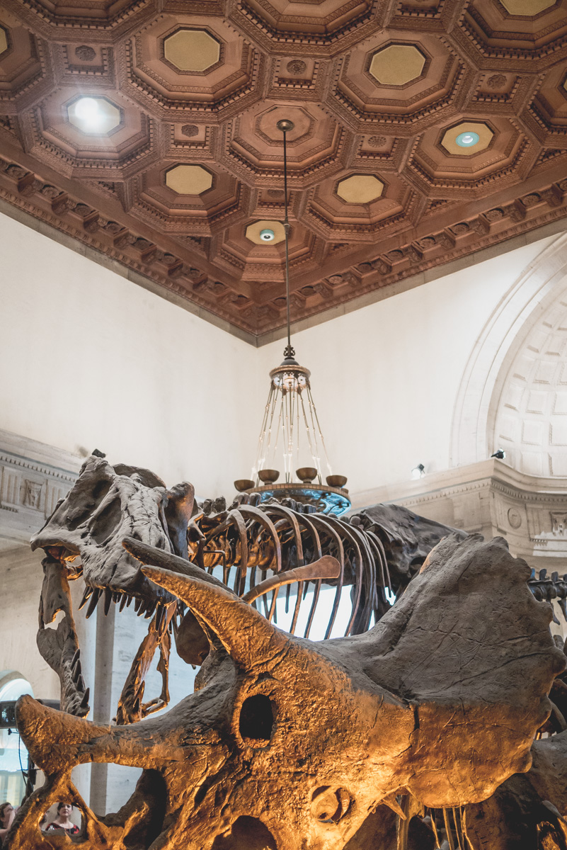 Dinosaur Hall Exhibit