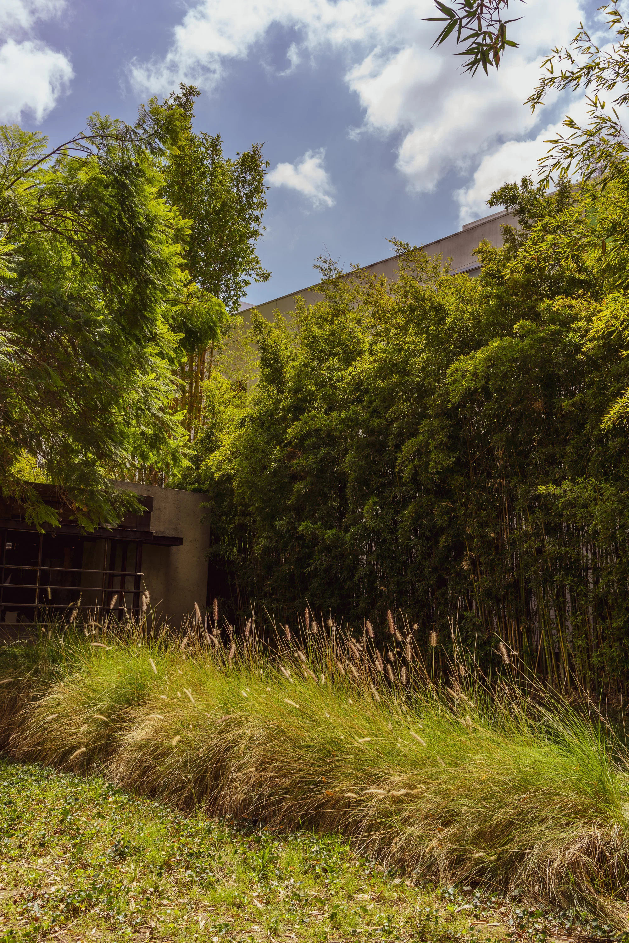 MYBELONGING-SCHINDLER-HOUSE-CASE-STUDY-LOS-ANGELES-ARCHITECTURE-PHOTOGRAPHY-11.jpg