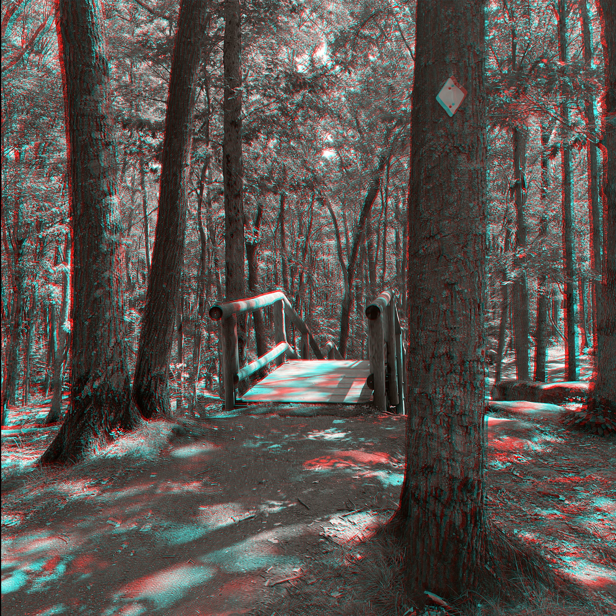 ANF2_Card_Anaglyph.jpg