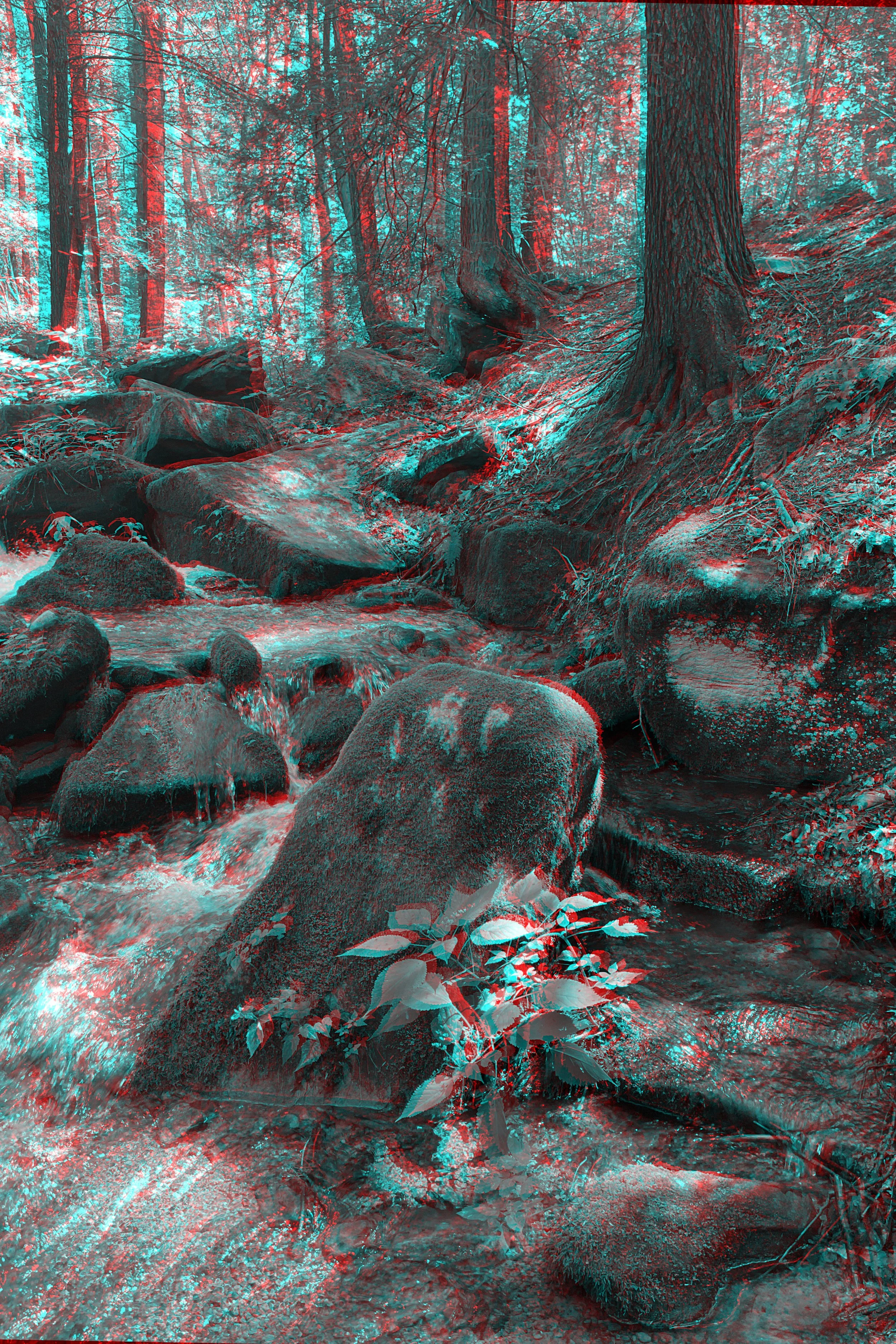 SGL42Waterfall004.jpg