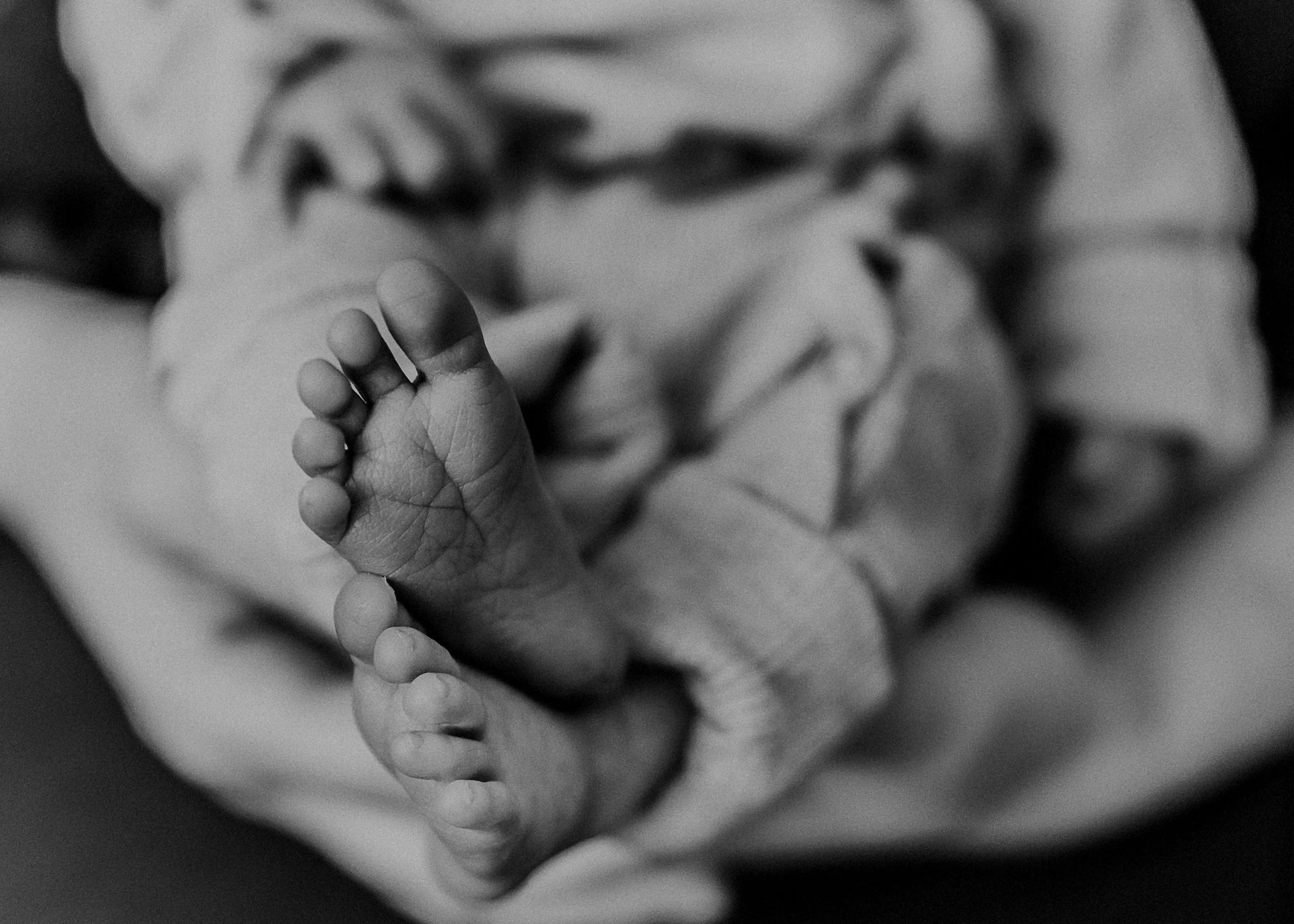 Newborn%2BPhotographer%2BReading%2B%2B%25281%2Bof%2B1%2529.jpg