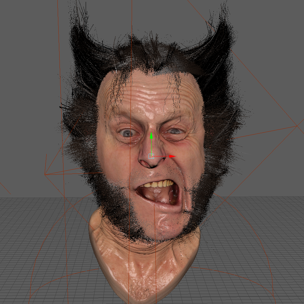 Maya Viewport