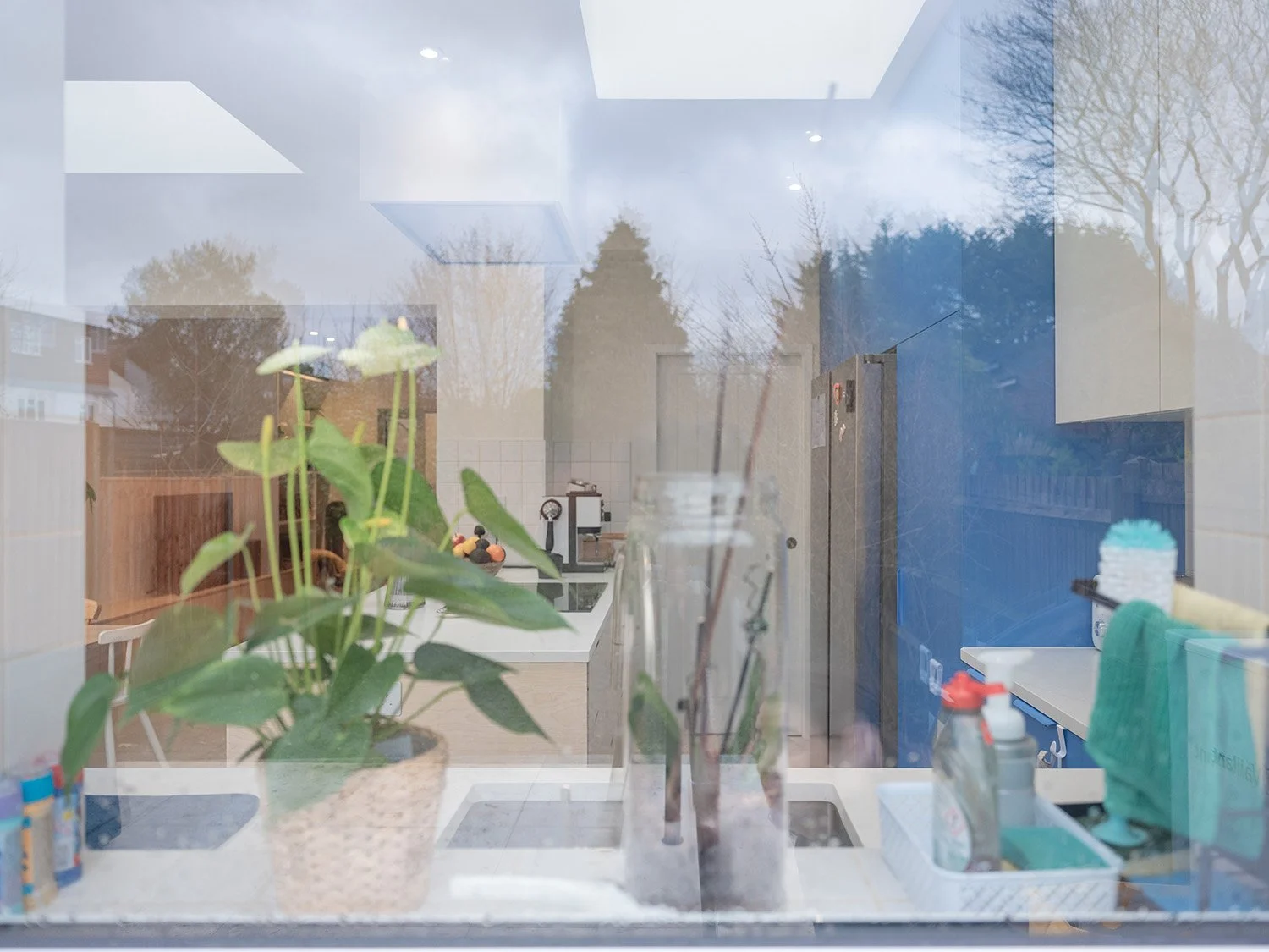 twickenham-renovation-kitchen-window-reflection-plant.jpg.jpg