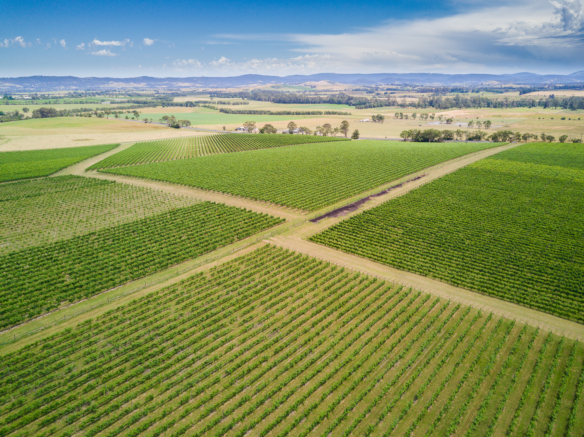 Yarra Valley, Melbourne