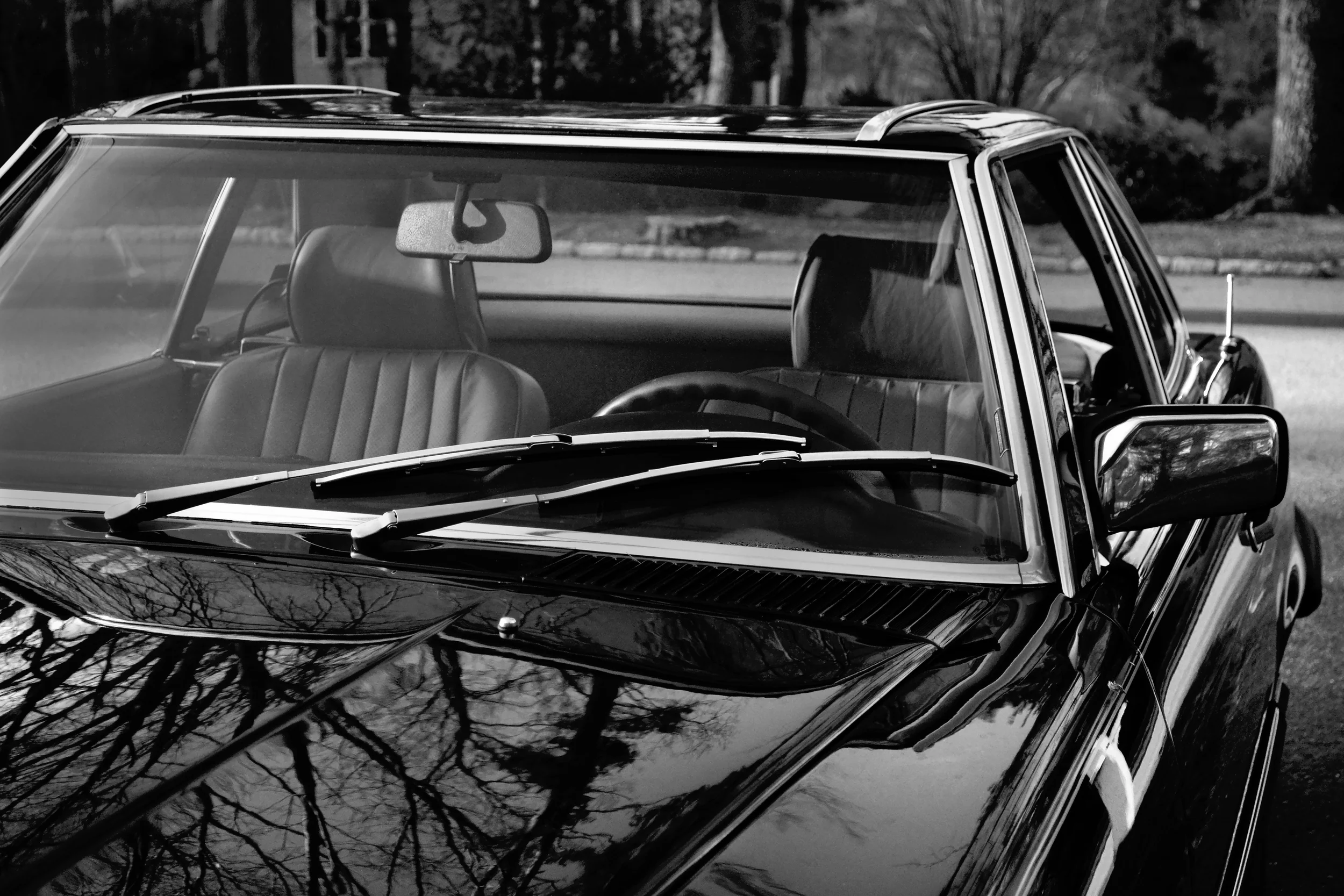 DSC_0009E-B&W-16x24-clean.jpg