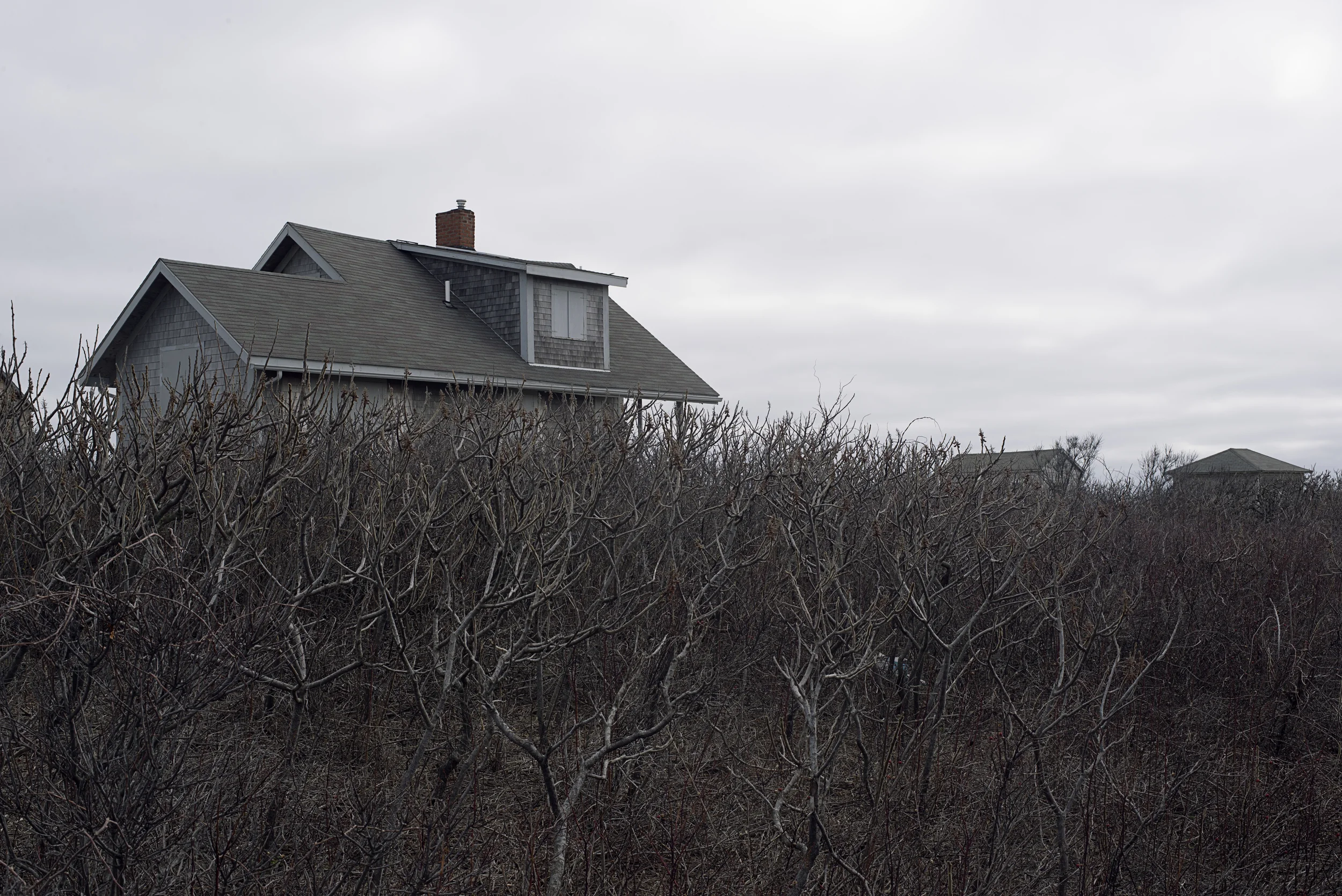 DSC_8285E2.jpg