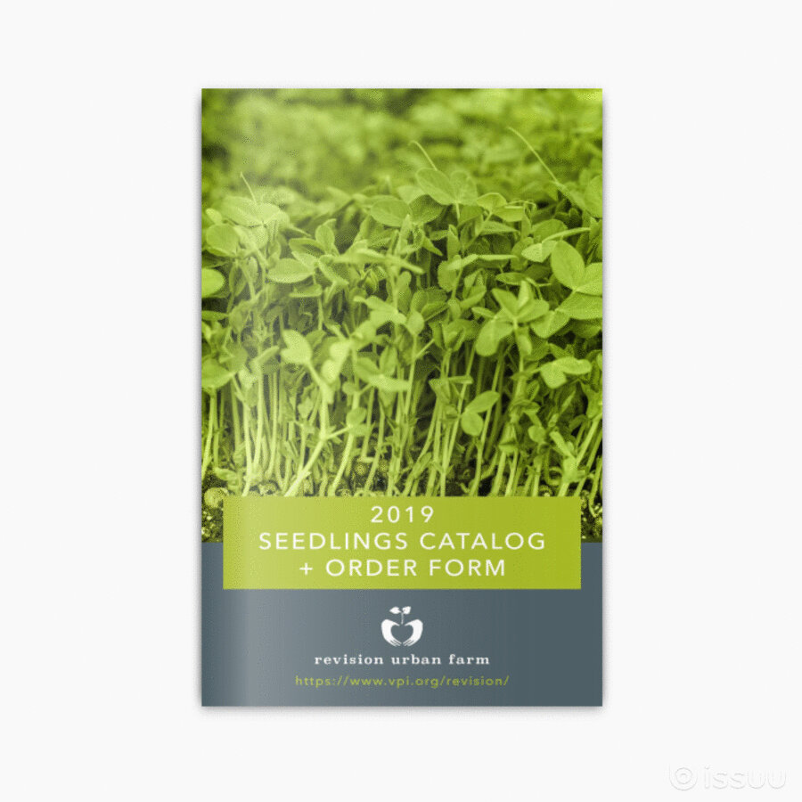 SEEDLINGS CATALOGUE