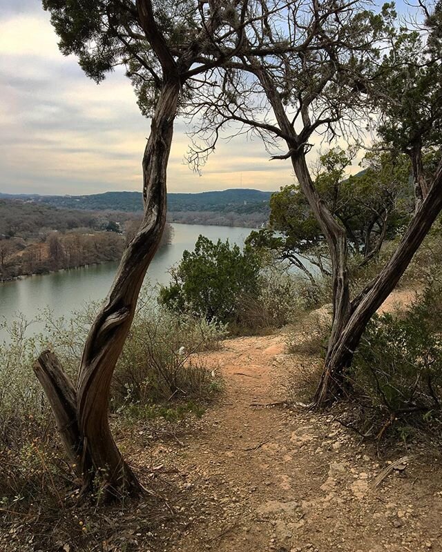 A view from the trail beyond the 360 bridge #austintx #360bridge #360bridgeoverlook #nature #texas #view #iphoneography