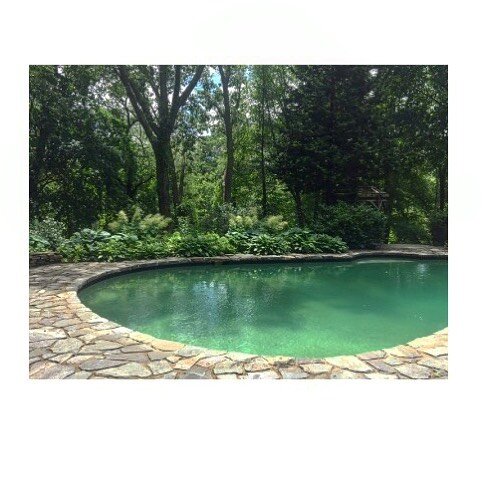 Pool's open #pool #summer #water #aquablue #backyard #duxbury