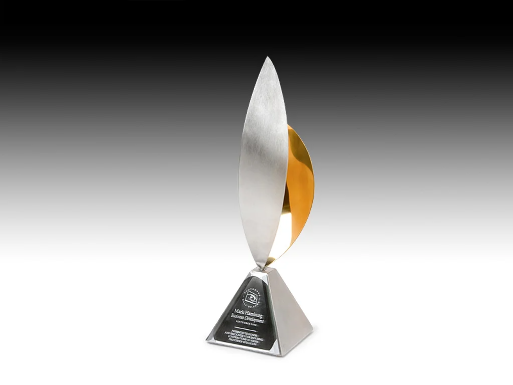 Hall of fame about header blank.jpg