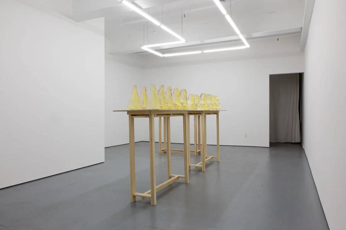 Mariana Garibay Raeke, Every Number is One (4 of 21).jpg
