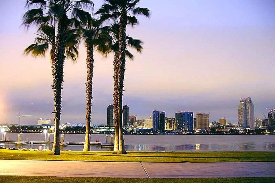 San_Diego_palms_trees_sidewalk_piers.jpg