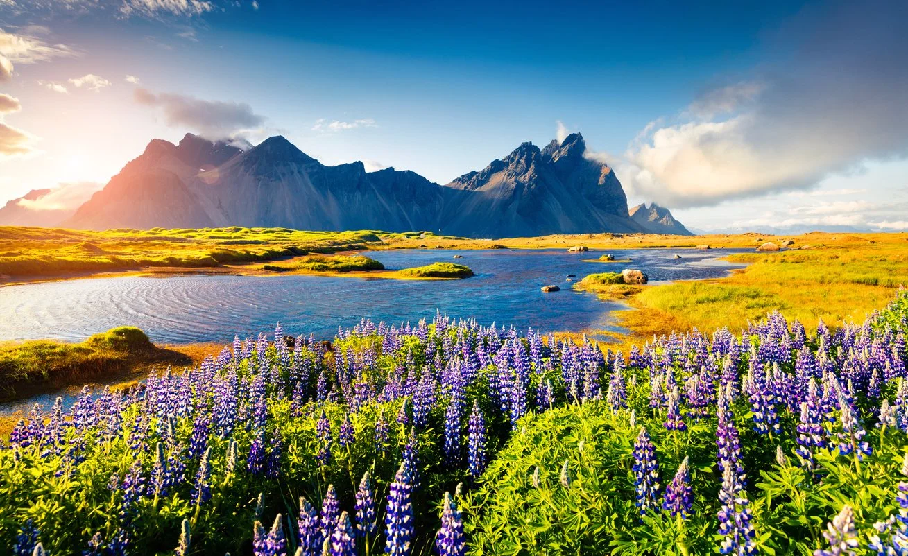 iStock-2053229241.jpg