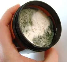 mold, yeast and bacteria.jpeg