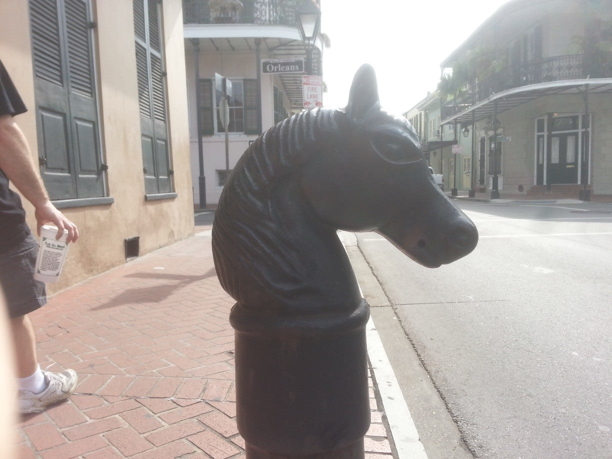 nola horse.jpg