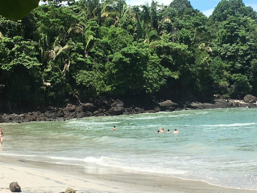 The beach at Manuel Antonio National Park – don’t let the monkeys steal your lunch!
Normal
0
false
false
false
EN-US
X-NONE
X-NONE
/* Style Definitions */
table.MsoNormalTable
{mso-style-name:"Table Normal";
mso-tstyle-rowband-size:0;
mso-tstyle-colband-size:0;
mso-style-noshow:yes;
mso-style-priority:99;
mso-style-parent:"";
mso-padding-alt:0in 5.4pt 0in 5.4pt;
mso-para-margin-top:0in;
mso-para-margin-right:0in;
mso-para-margin-bottom:10.0pt;
mso-para-margin-left:0in;
line-height:115%;
mso-pagination:widow-orphan;
font-size:11.0pt;
font-family:Calibri;
mso-ascii-font-family:Calibri;
mso-ascii-theme-font:minor-latin;
mso-hansi-font-family:Calibri;
mso-hansi-theme-font:minor-latin;}
