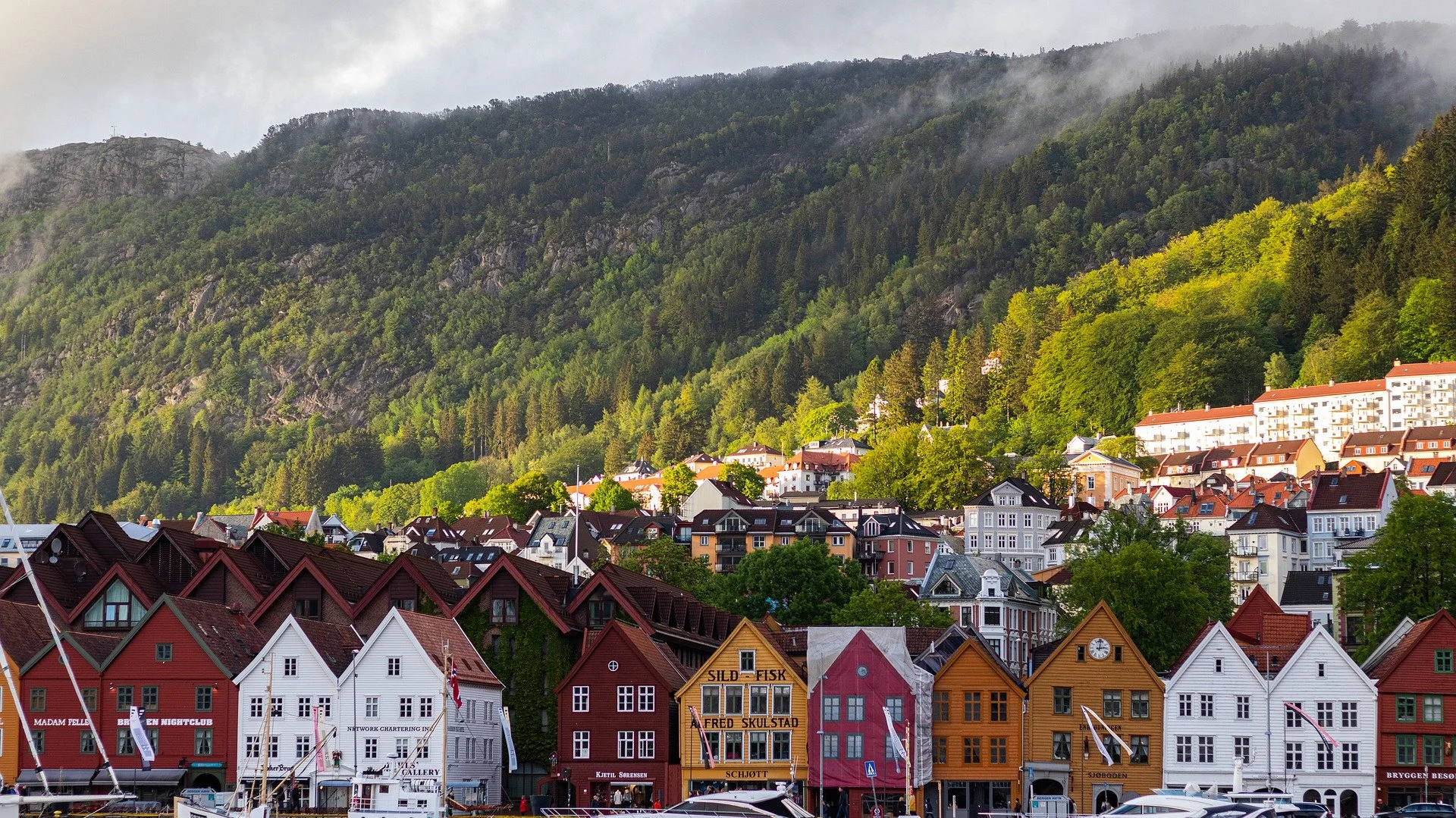 bergen-1.jpg