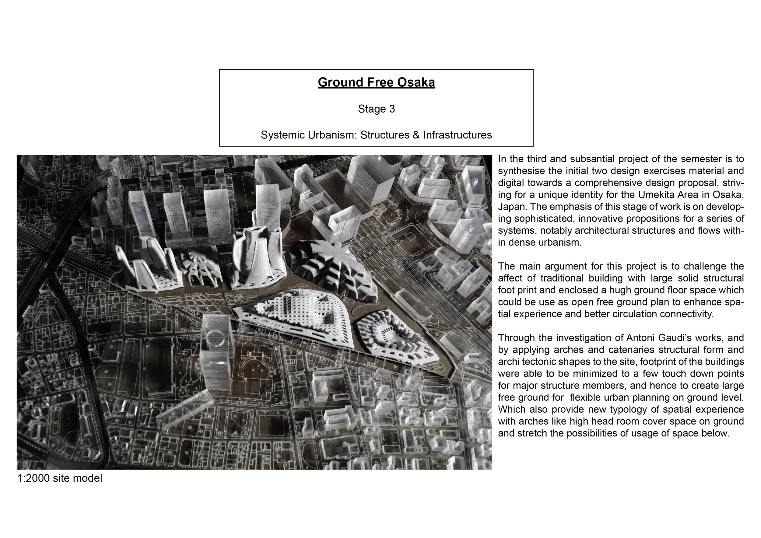 latest portfolio41.jpg