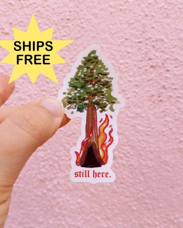A photo of a white hand holding a sticker in front of a pink wall. The sticker is a watercolor painting of a redwood tree with fire burning out the bottom, with red text reading "still here." Text in yellow starburst: SHIPS FREE