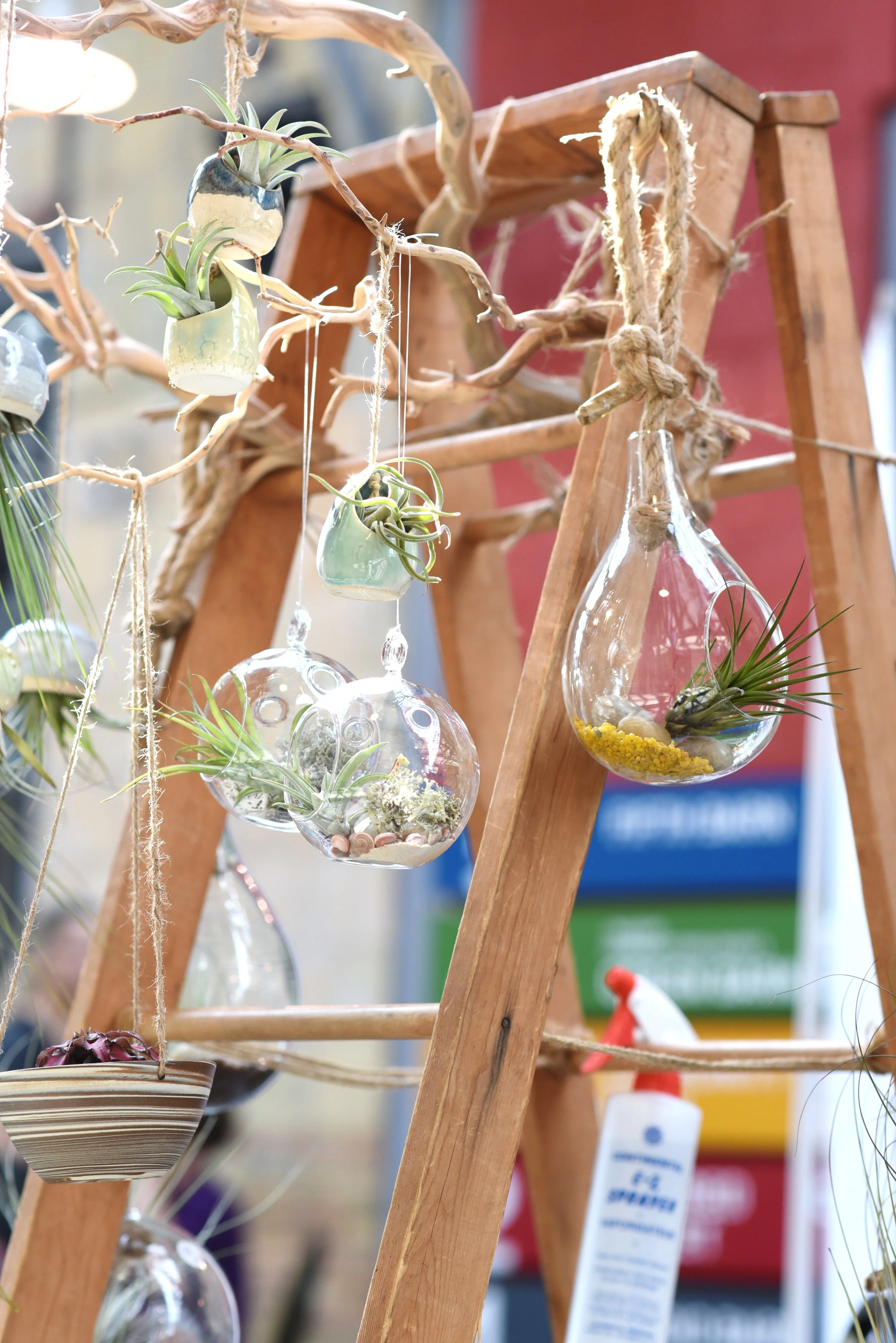 Photo by Spirit Stock - Pop Villa at Wychwood Barns (48).jpg