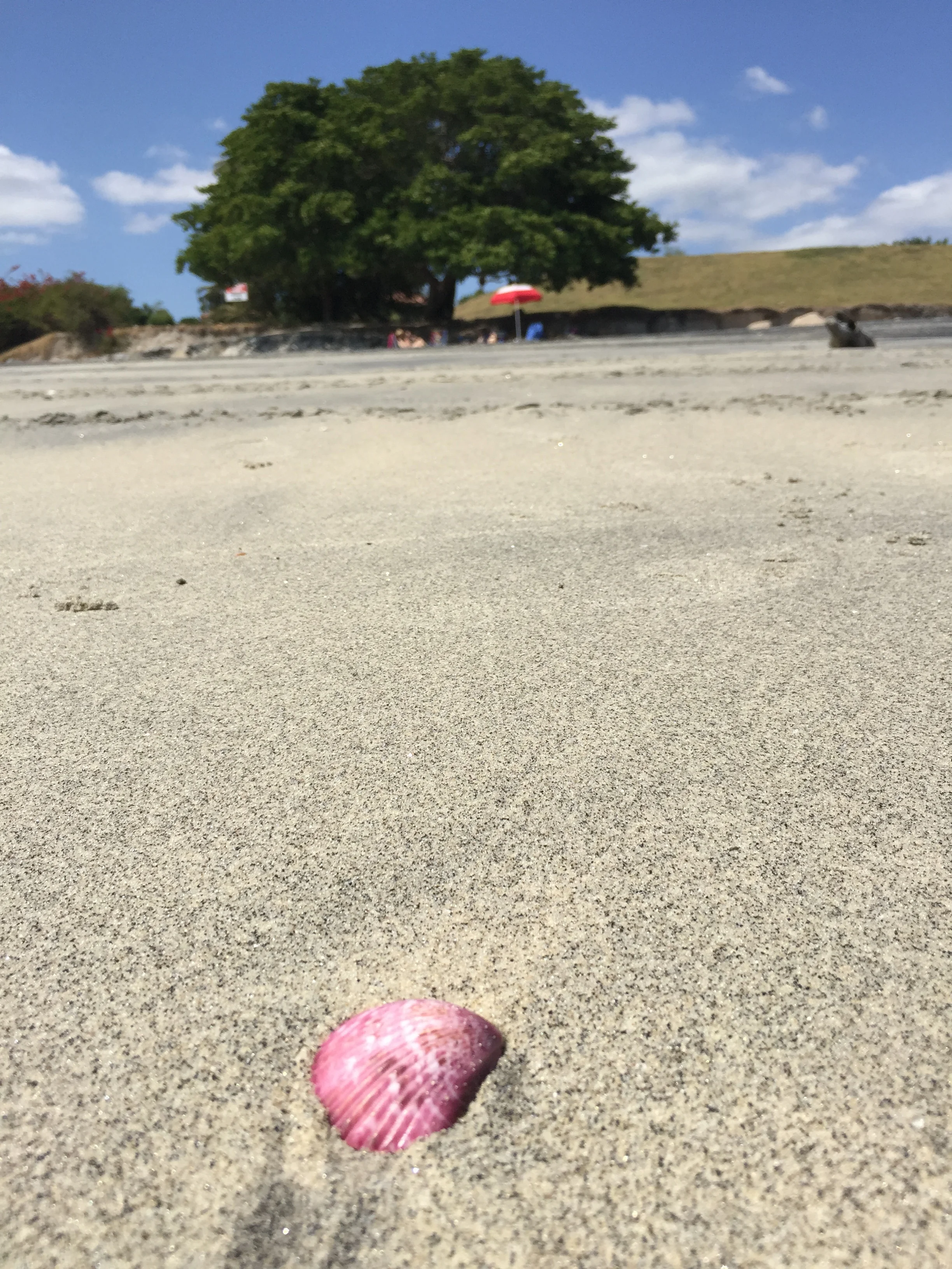 Panama, Part One: Playa Chumico