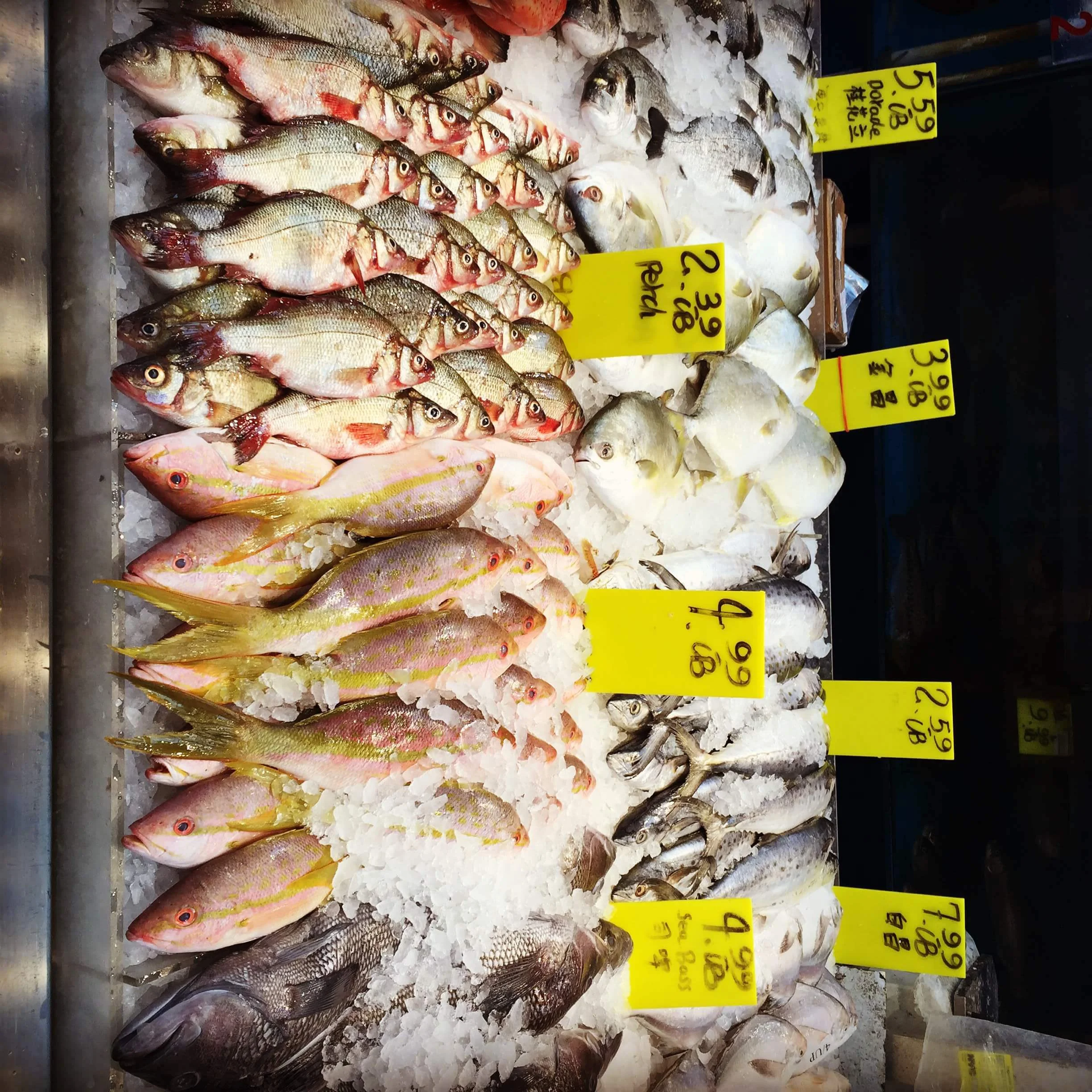 Final Transitions, NYC