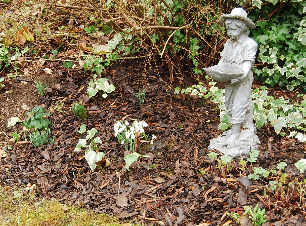 Bark mulch nicely sets off plants and garden ornaments