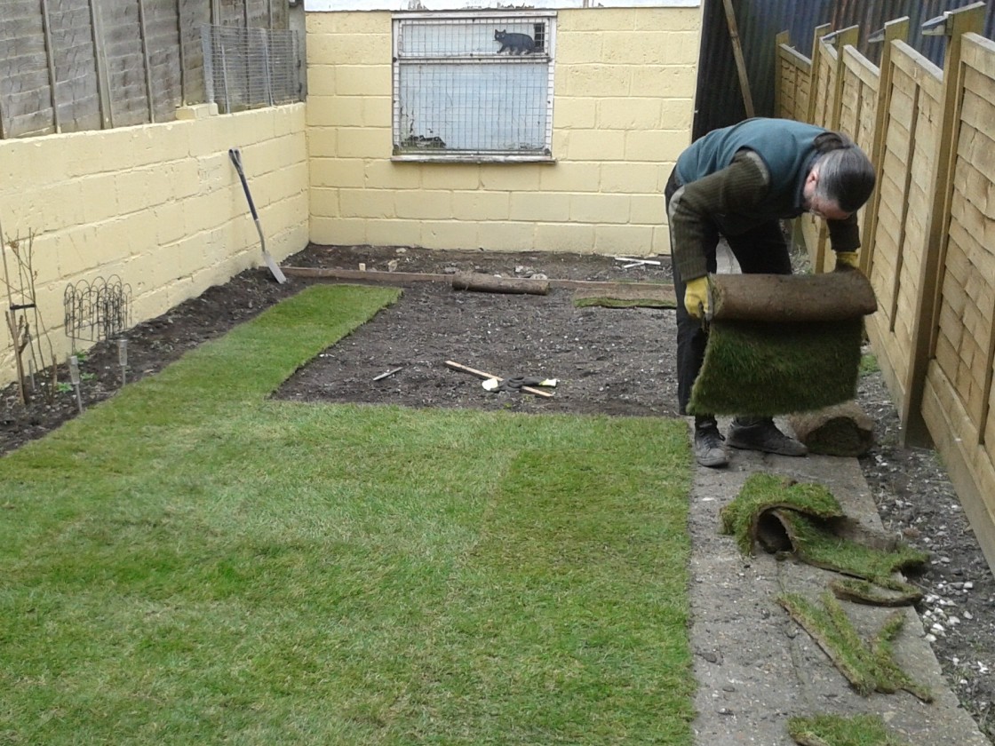 Make sure the ground is prepared well befor laying turf
