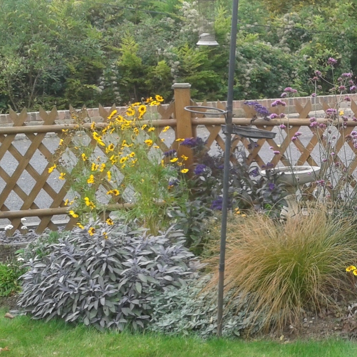 Right plants in the right place rarely need support