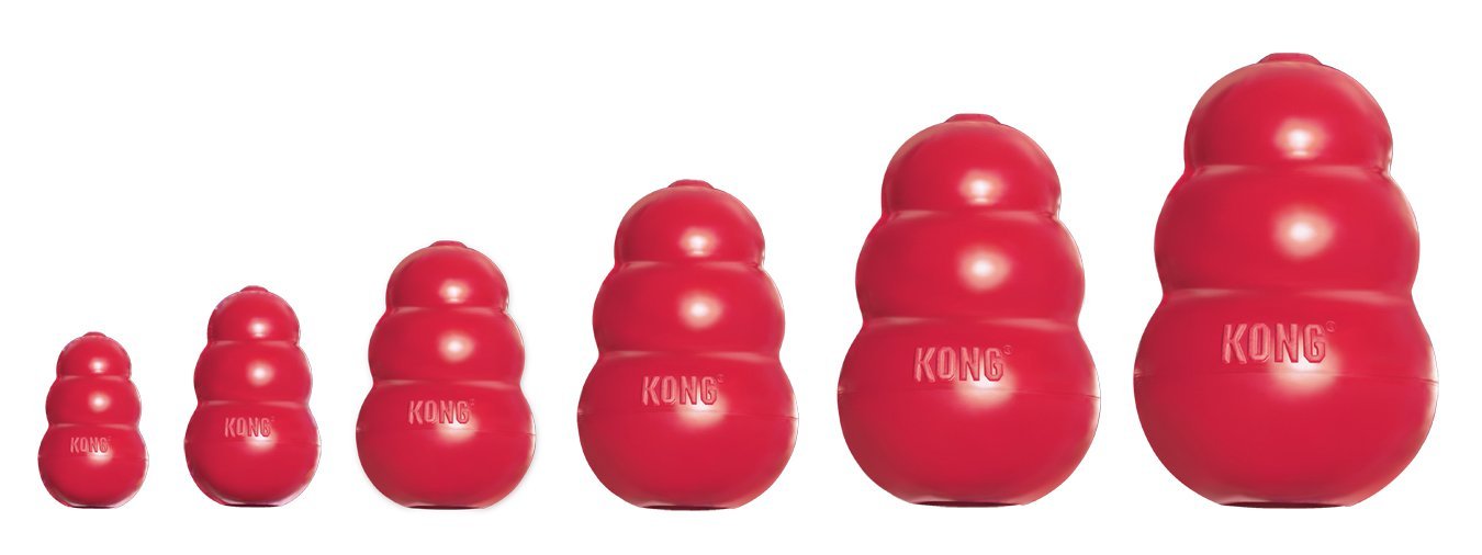 kong-gift-guide-dog.jpg