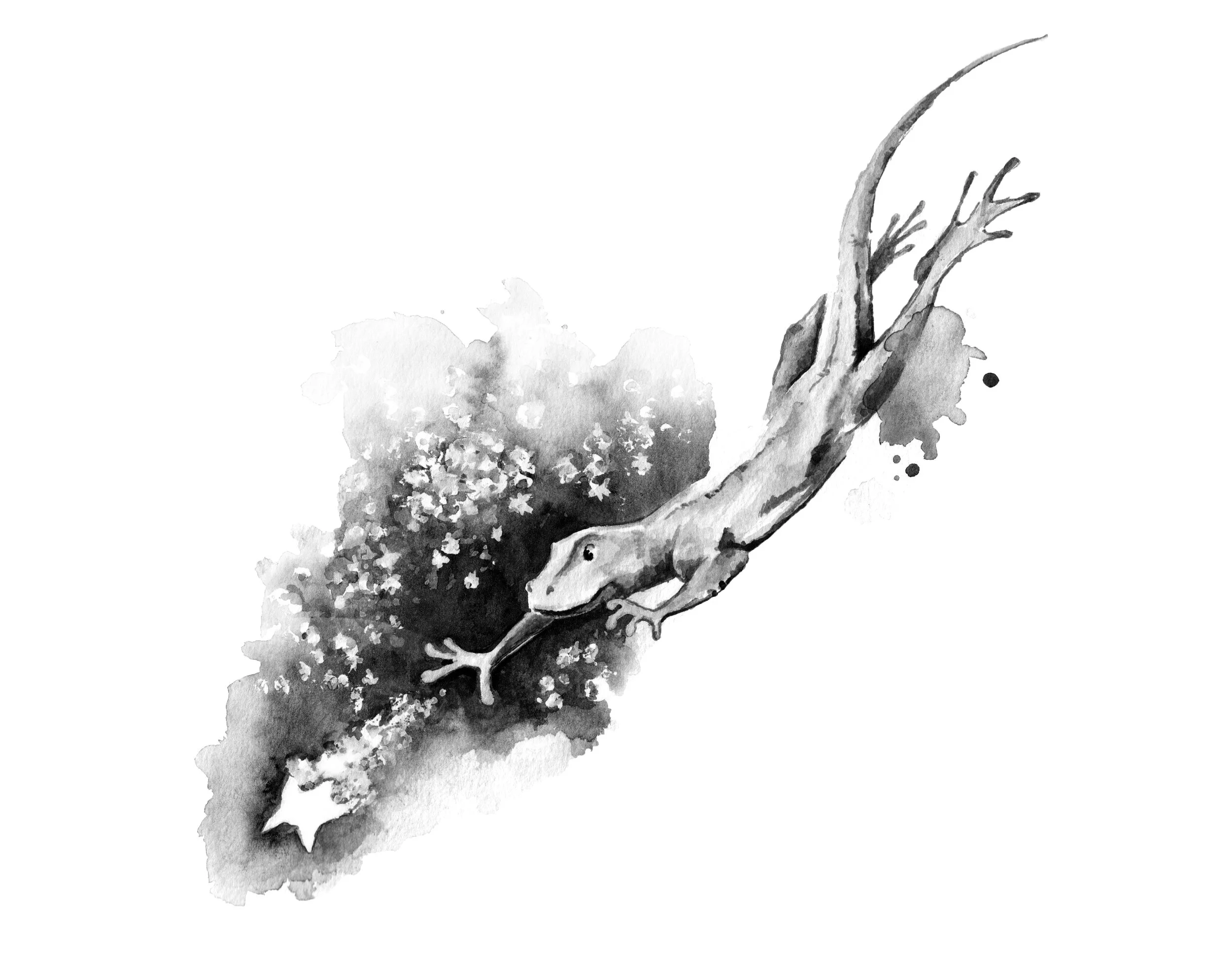 Salamander / 2019 / Aquarell auf Papier / 29.7 x 21 cm