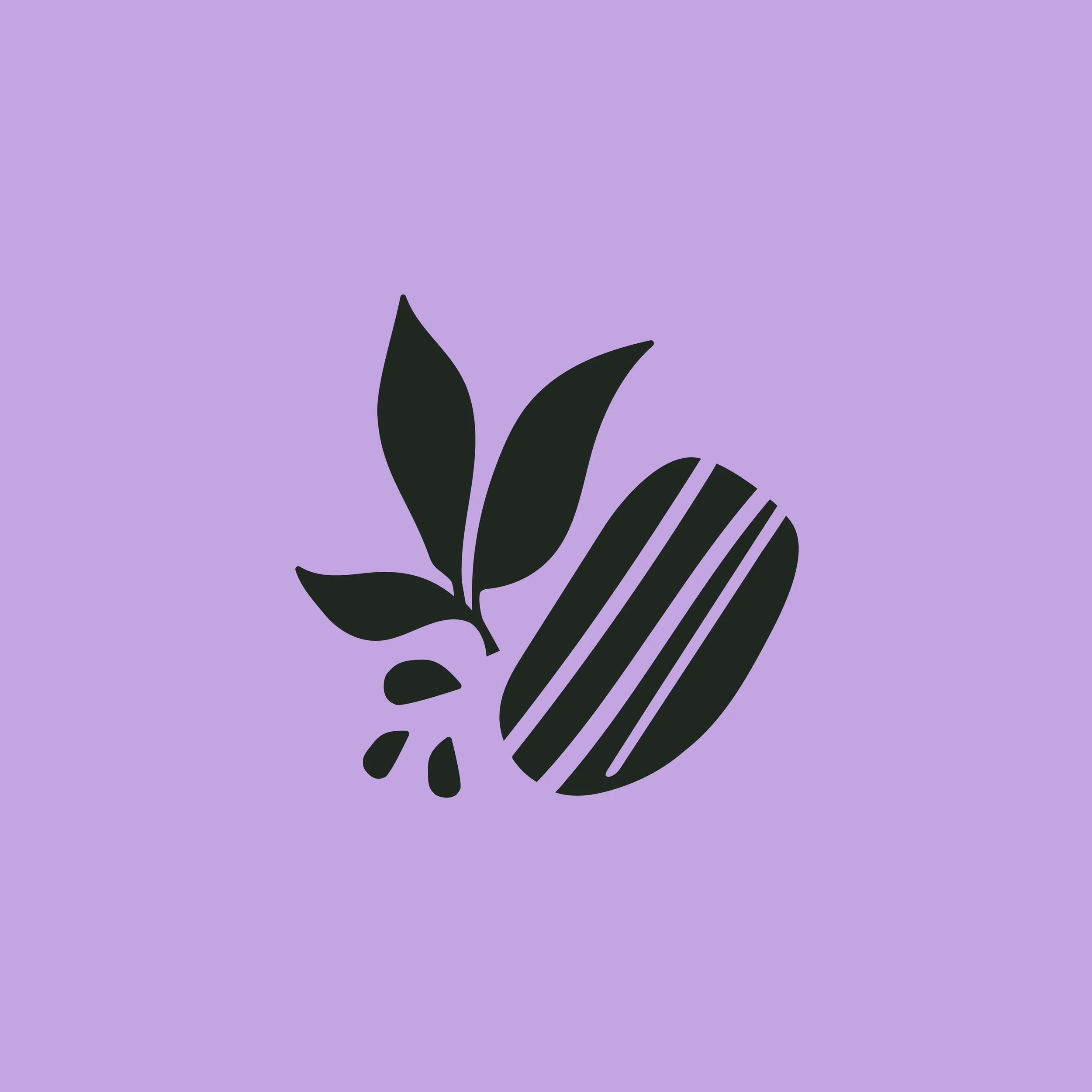 pecan icon.jpg