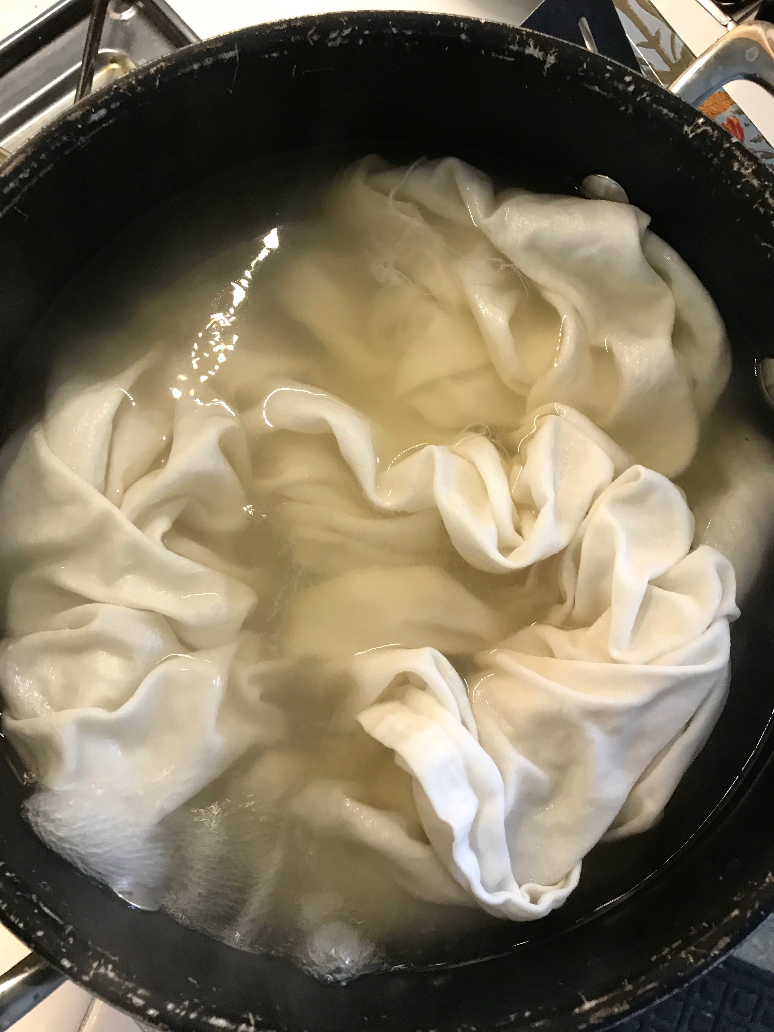 8-mordant-fabric-soy-milk-faessel-colab-2020.jpeg