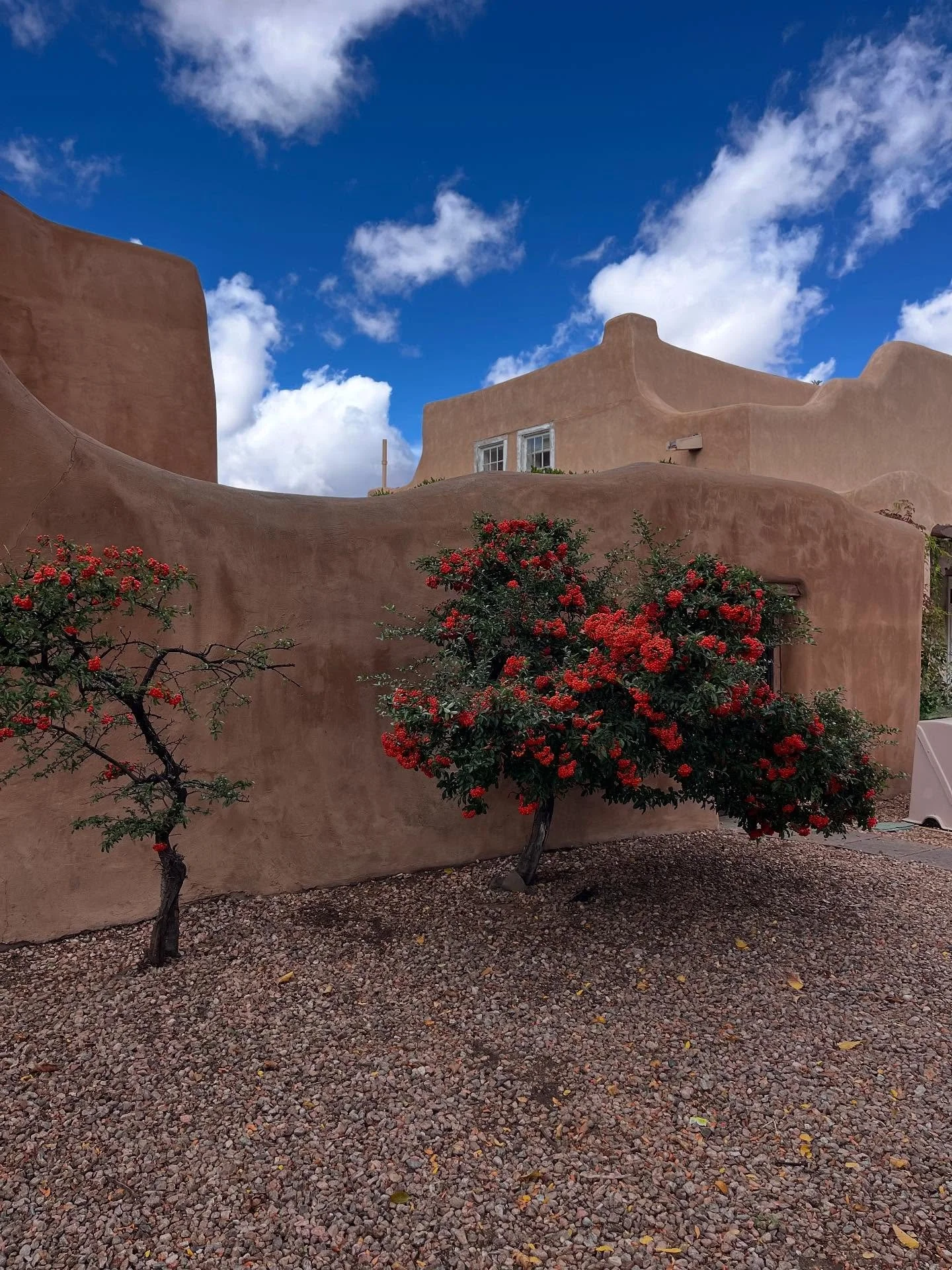 Recent sights, places, and found inspiration✨
Adobe, rabbit grass, etc - Santa Fe, New Mexico
Meow Wolf - #meowwolf
Taos Pueblo - #taospueblo
Volcanos, lava rock fields, forest finds - Sisters, Oregon
when the needles of Western Larch turn yellow -