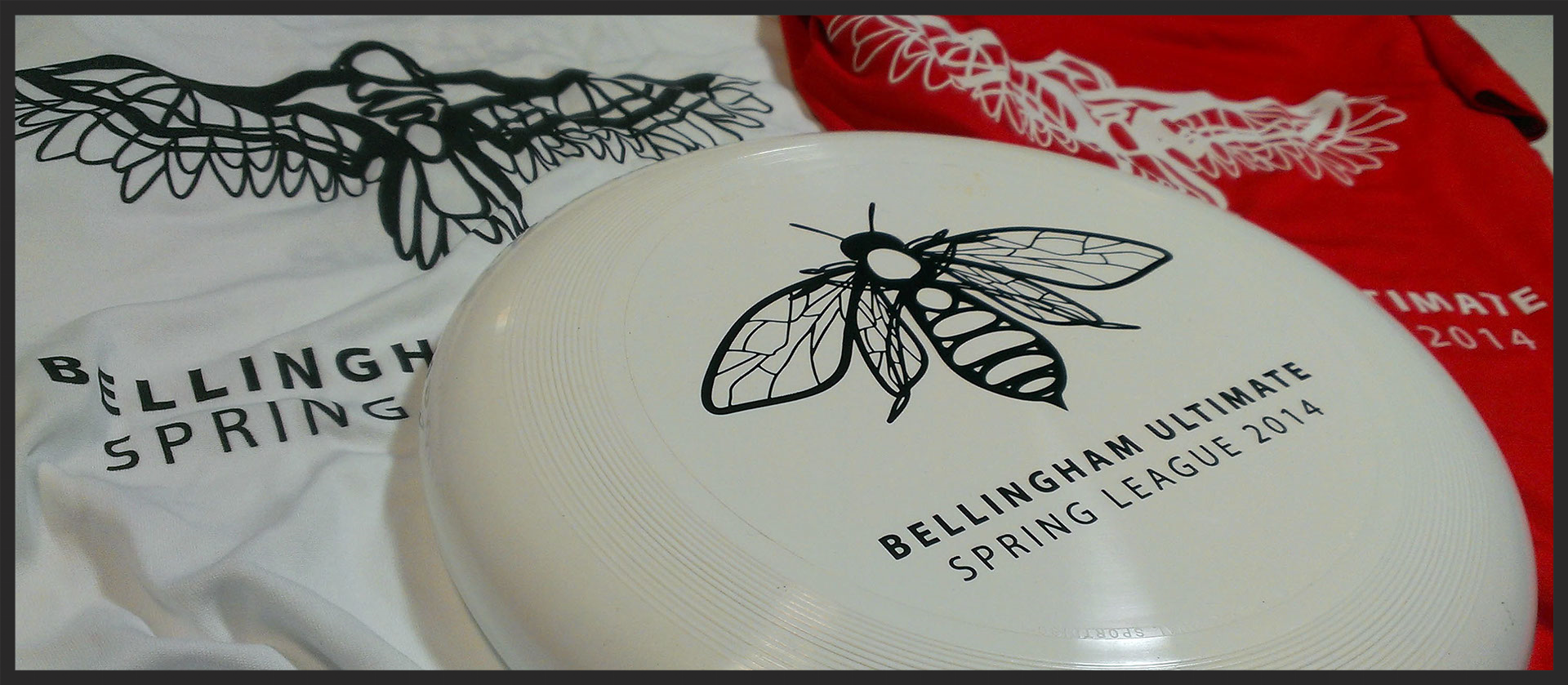 Shirts & Disc Printed with the design.