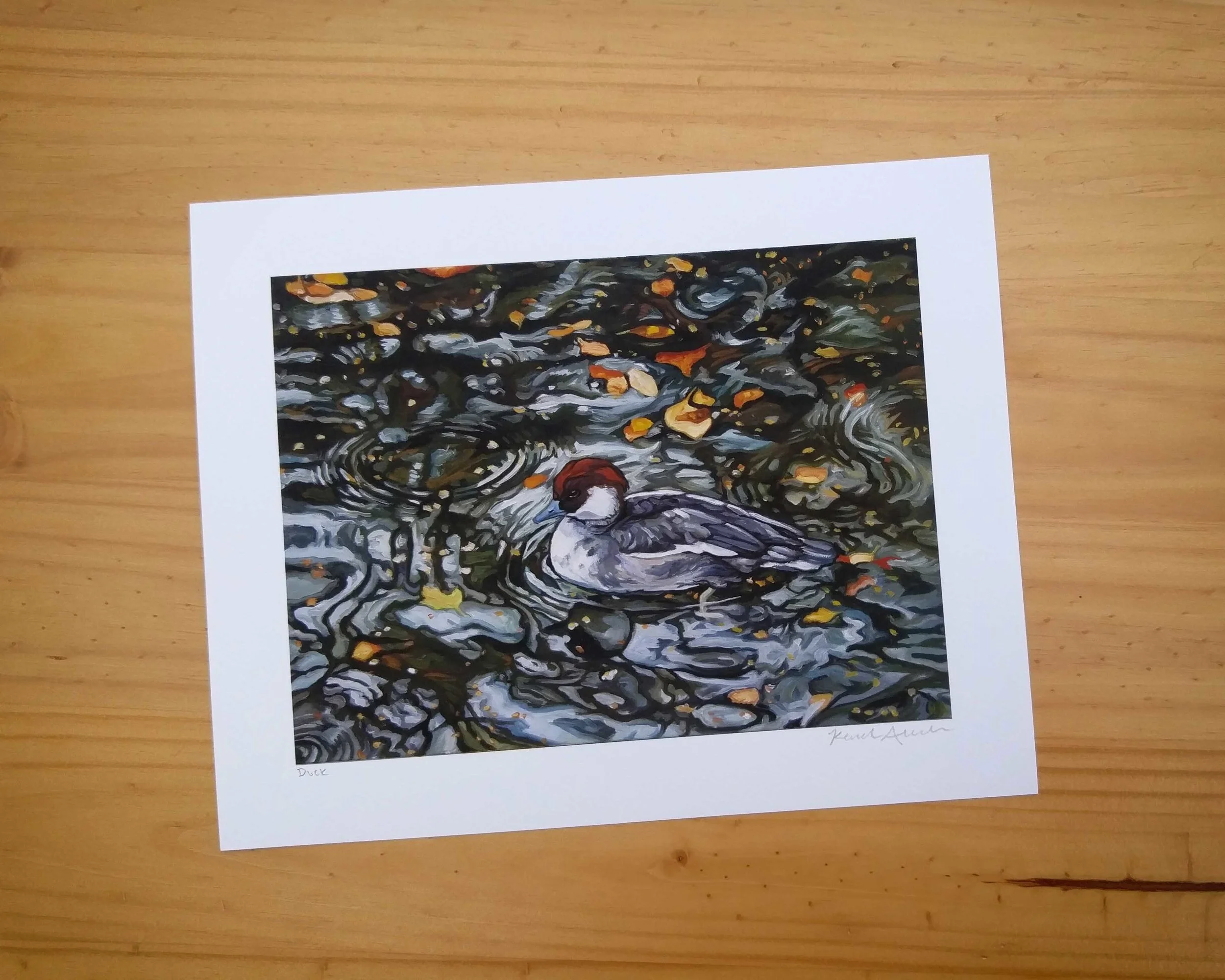 Duck.jpg