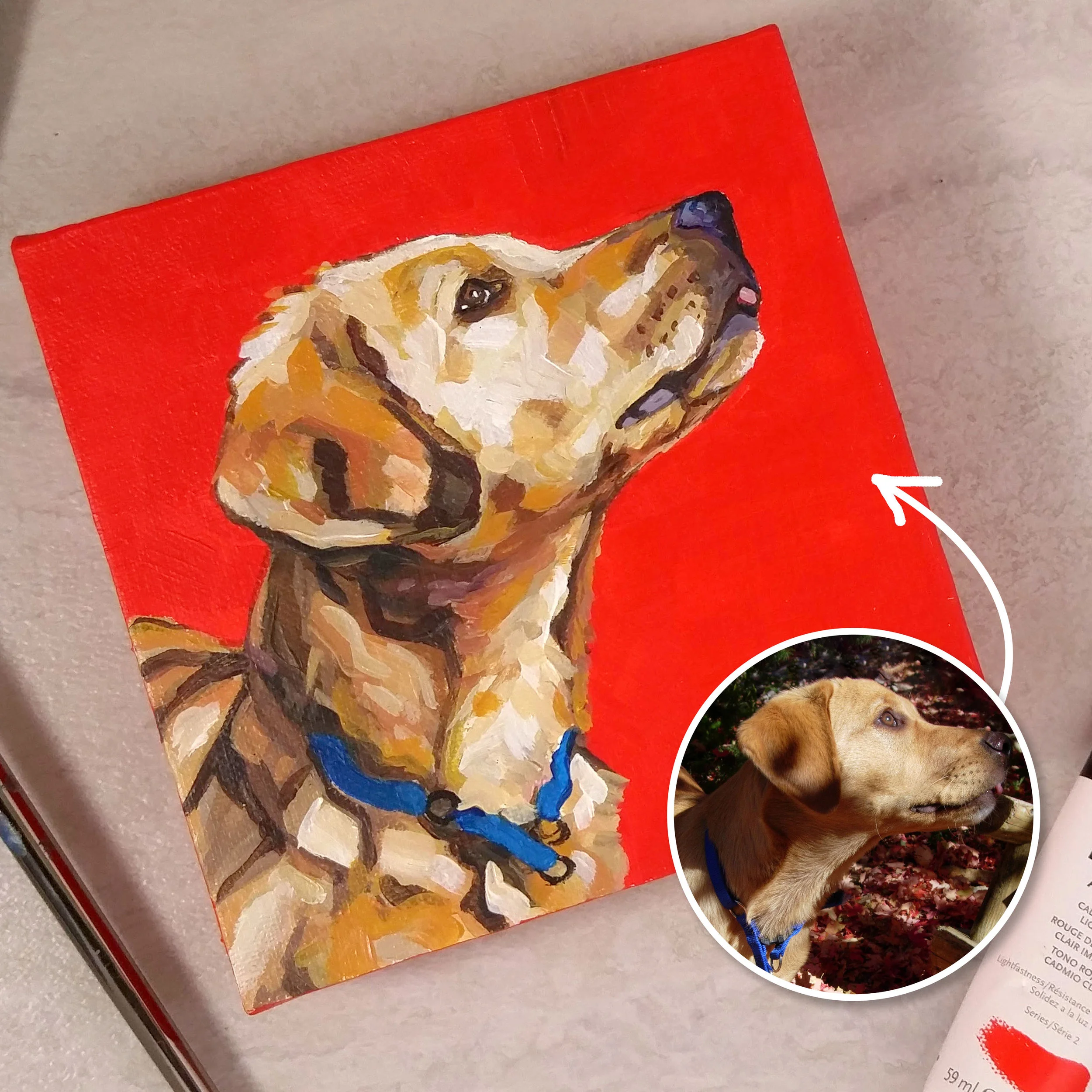 Denali Painting Example.jpg