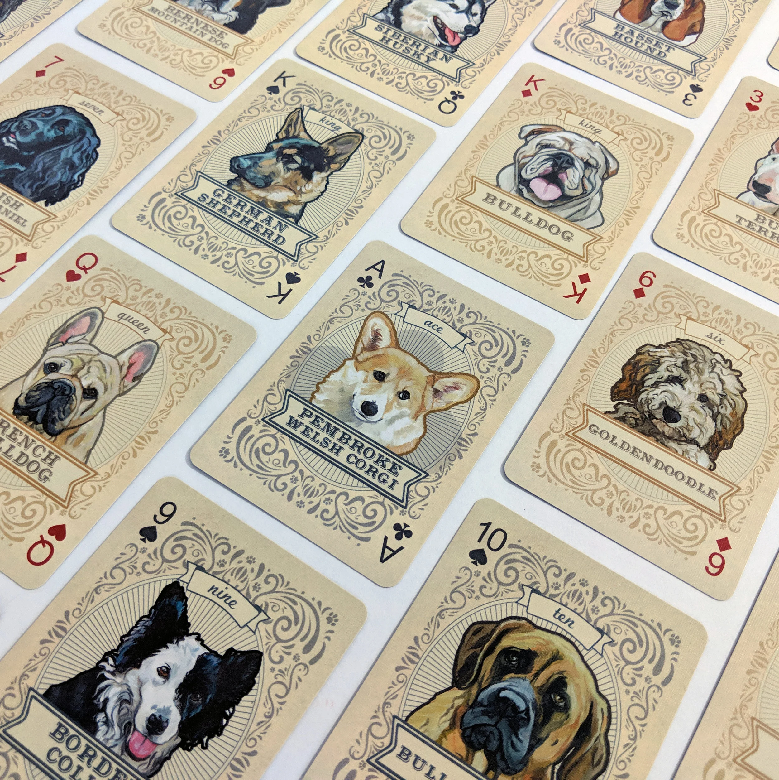 The Dog Pack 6.jpg